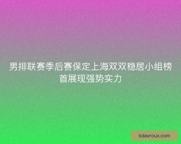 男排联赛季后赛保定上海双双稳居小组榜首展现强势实力