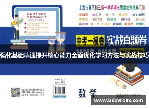 强化基础精通提升核心能力全面优化学习方法与实战技巧
